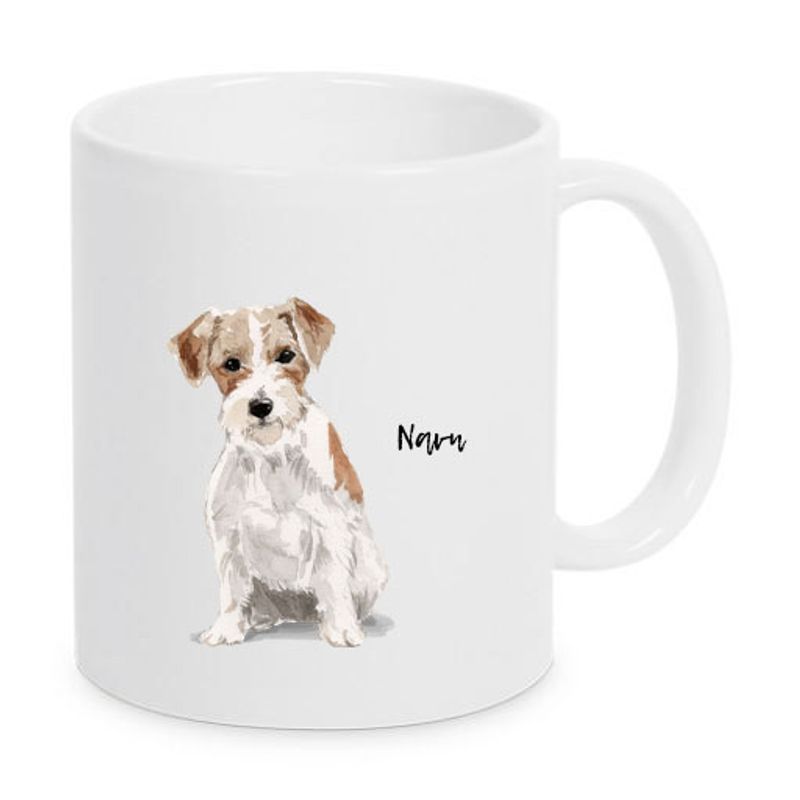 kopp Jack russell-terrier