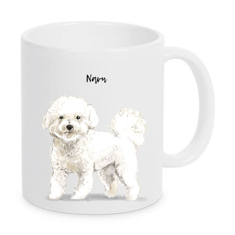 kopp Bichon frisé