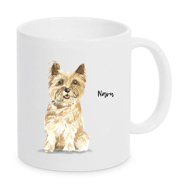 kopp Cairn terrier
