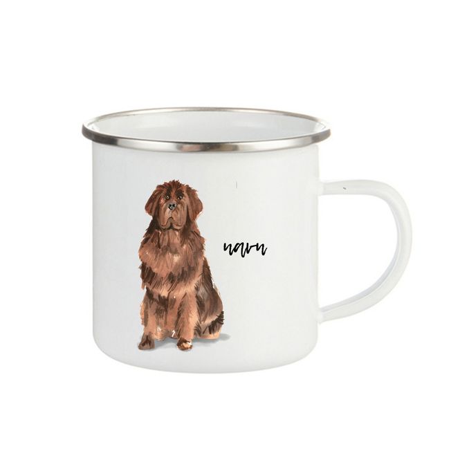Hovedbilde Newfoundlandshund